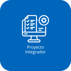 Proyecto Integrador