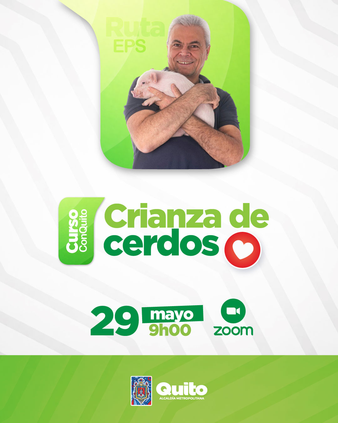 Imagen 7
