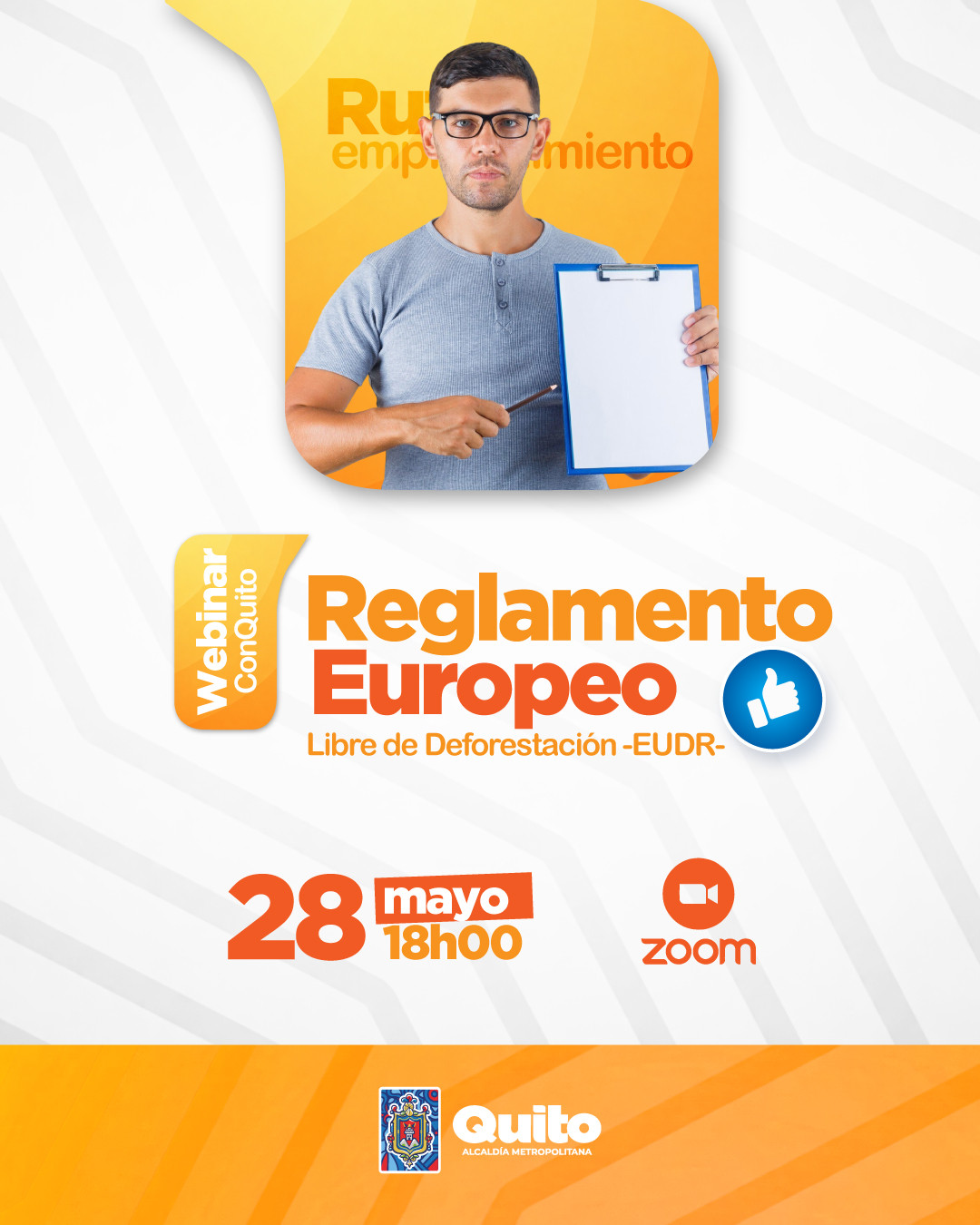 Imagen 6