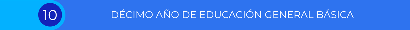 Encabezado Banner