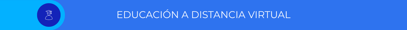 Educación a Distancia Virtual