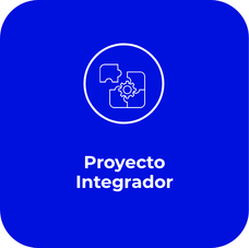 Proyecto Integrador